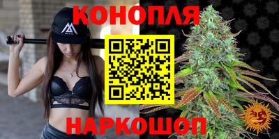 бошки Моздок